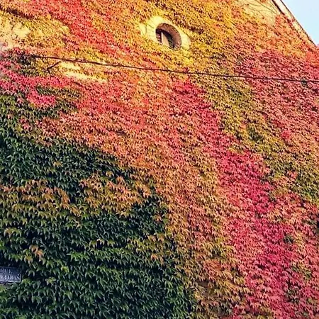 فندق مبيت وإفطار Au Chambellan آي-شامبانيا